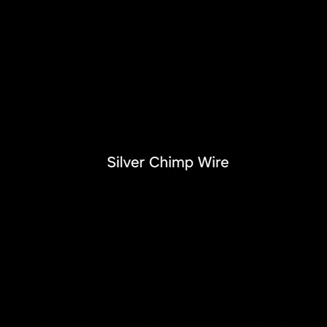 ChatGPT Image Sep 17, 2026, 05_22_26 PM (7) Silver Chimp Wire - Image 1